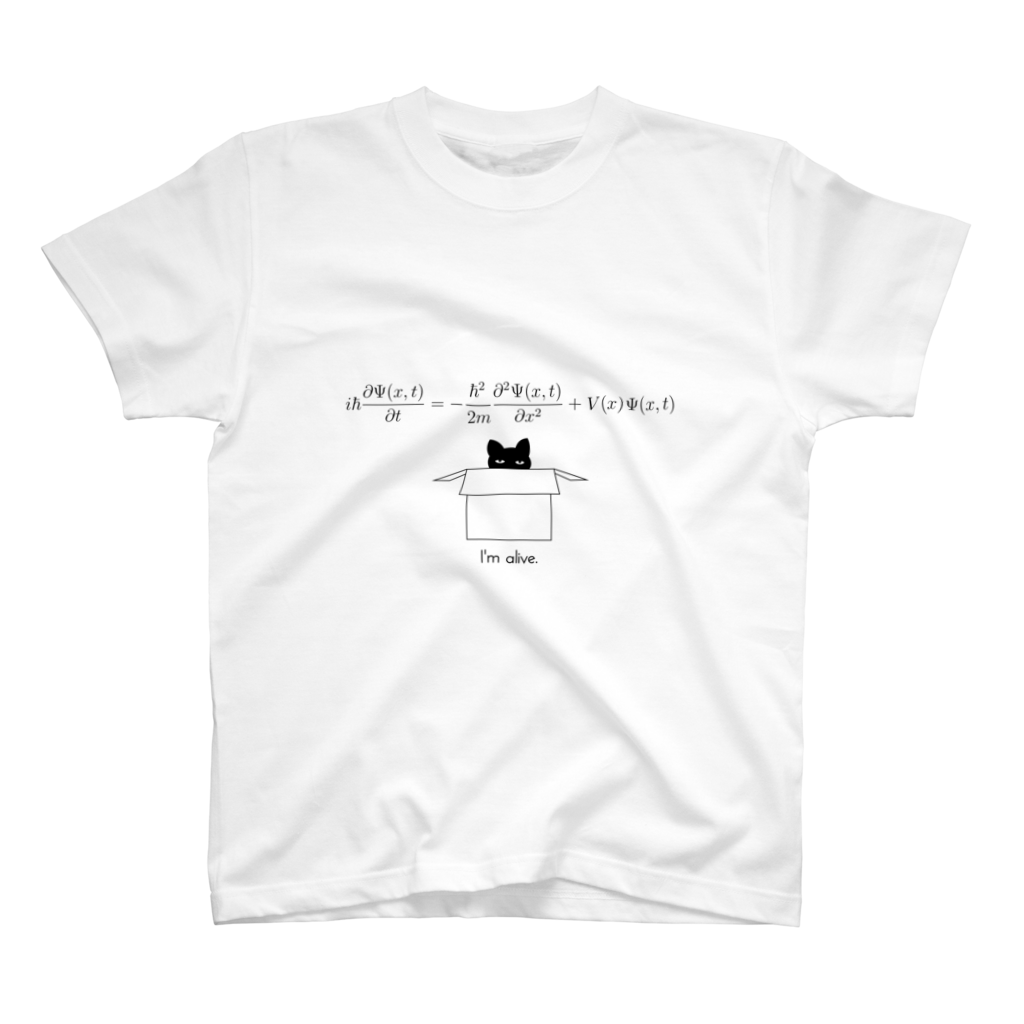 1 次元の時間依存シュレディンガー方程式Tシャツ