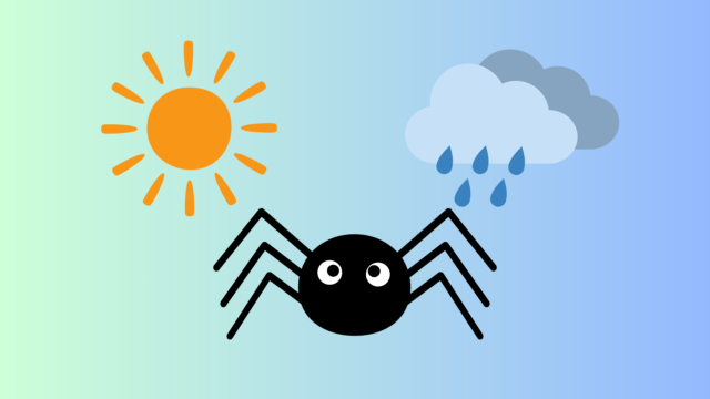 有名な英語の童謡【Itsy Bitsy Spider】